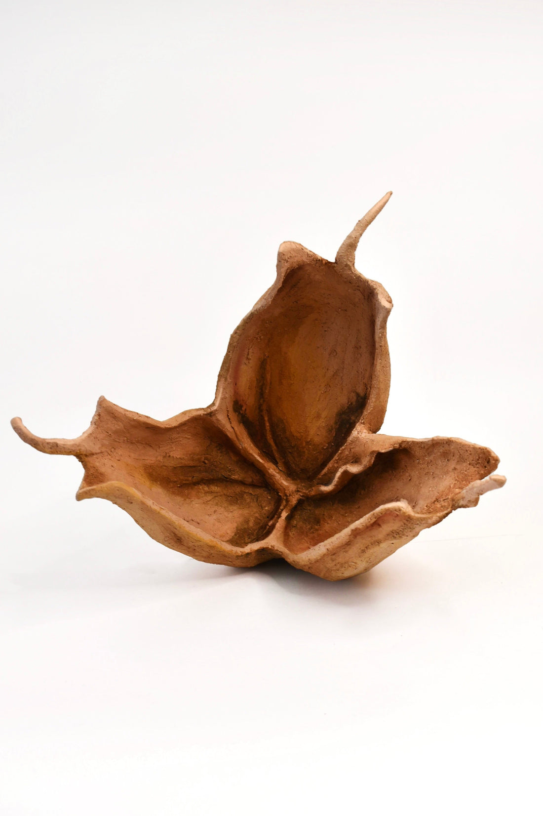Detalle de Colchicum psammophilum, escultura botánica de María Betancor