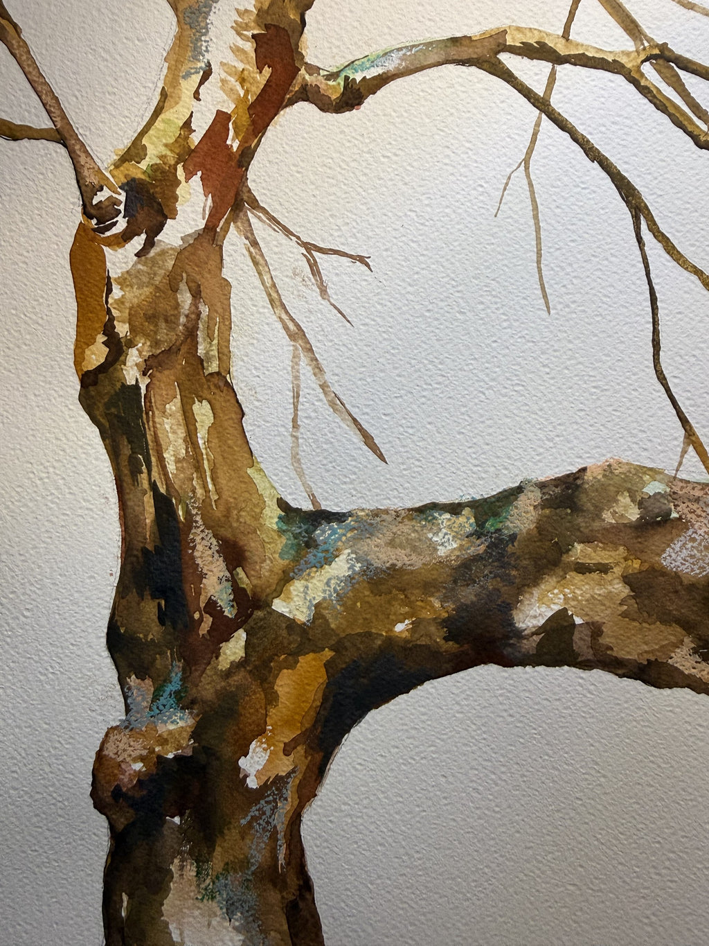 Fragmentos del bosque III, detalle del tronco pintado en acuarela