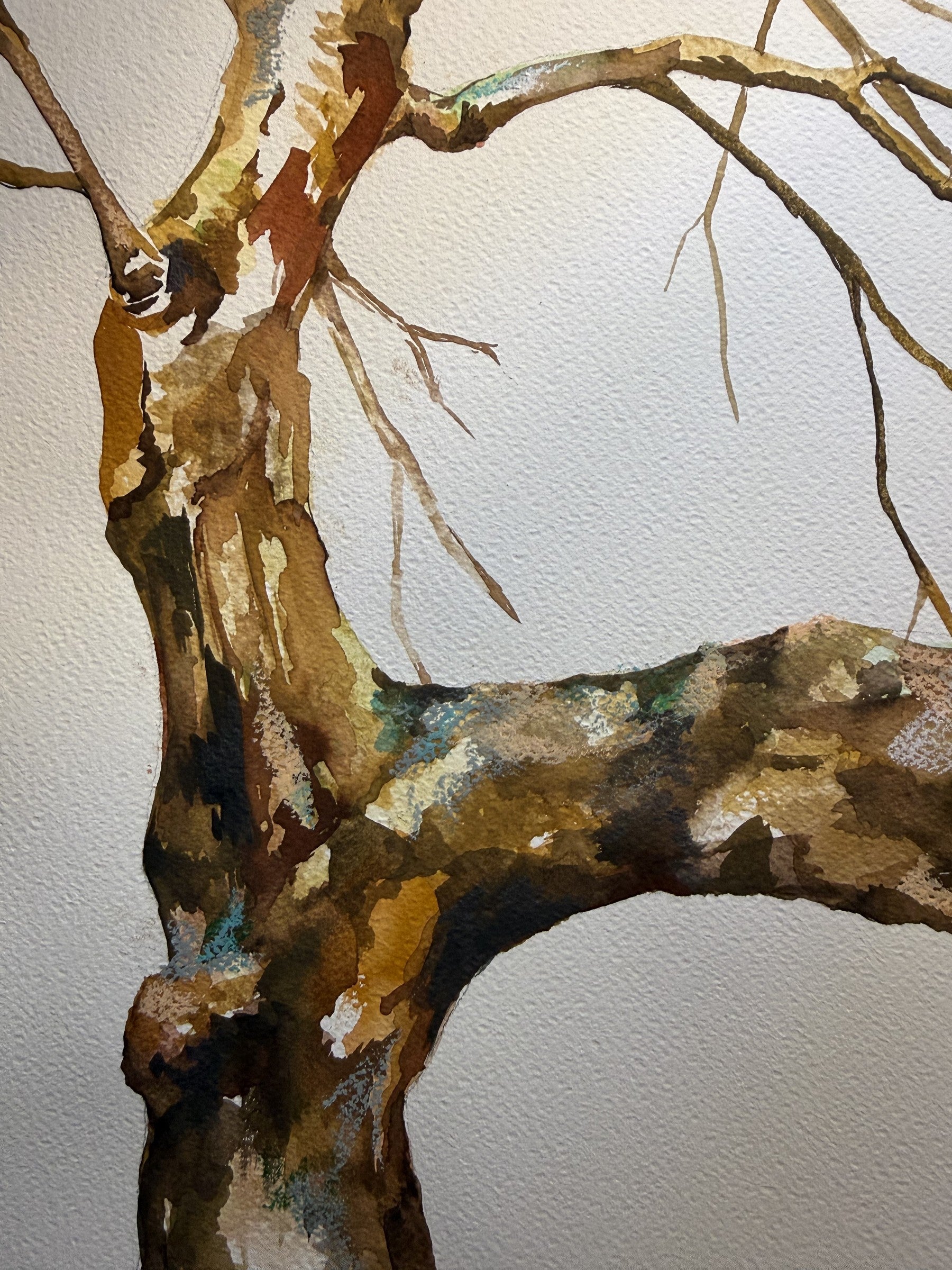 Fragmentos del bosque III, detalle del tronco pintado en acuarela