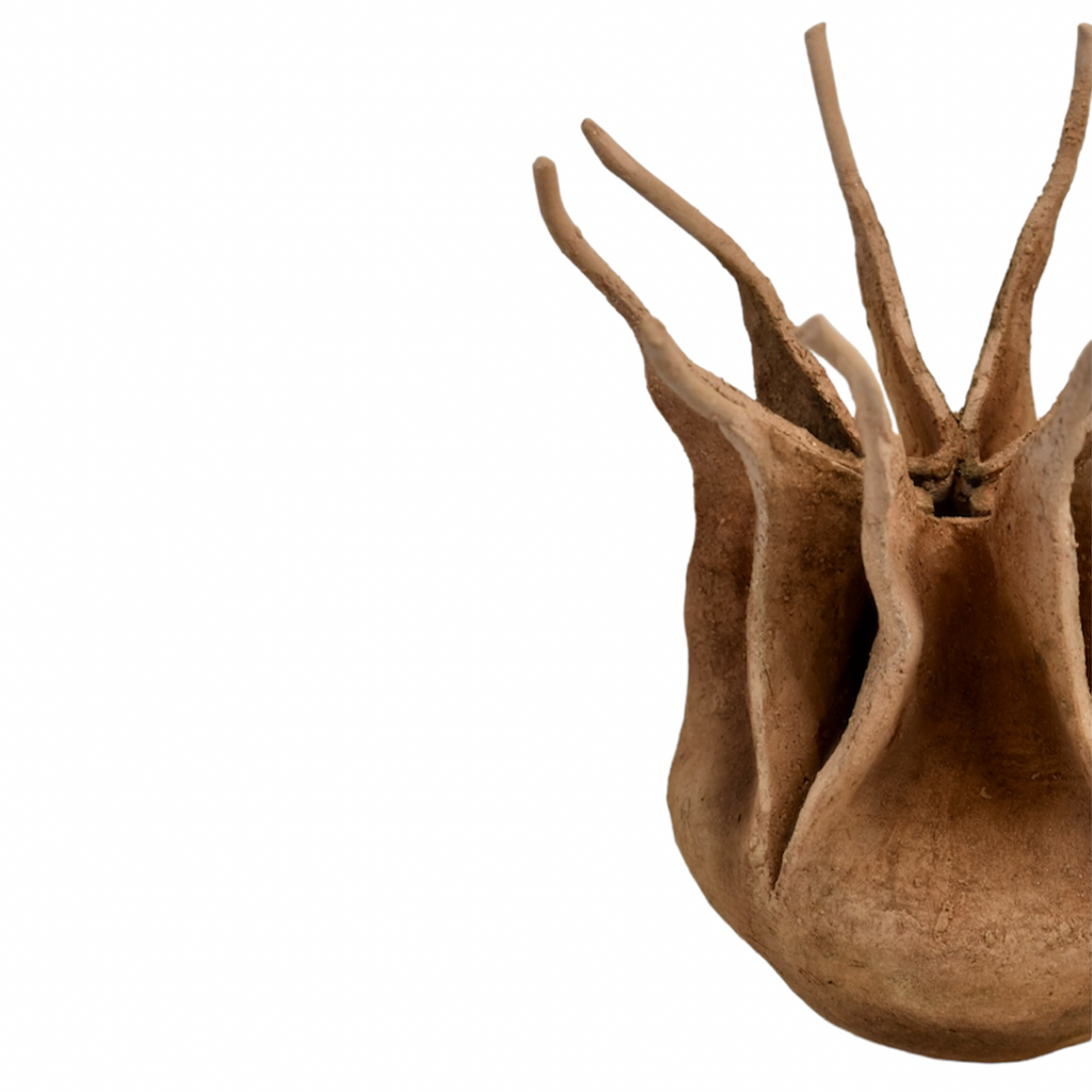 Nigella damascena – escultura original en Canarias – María Betancor (detalle)