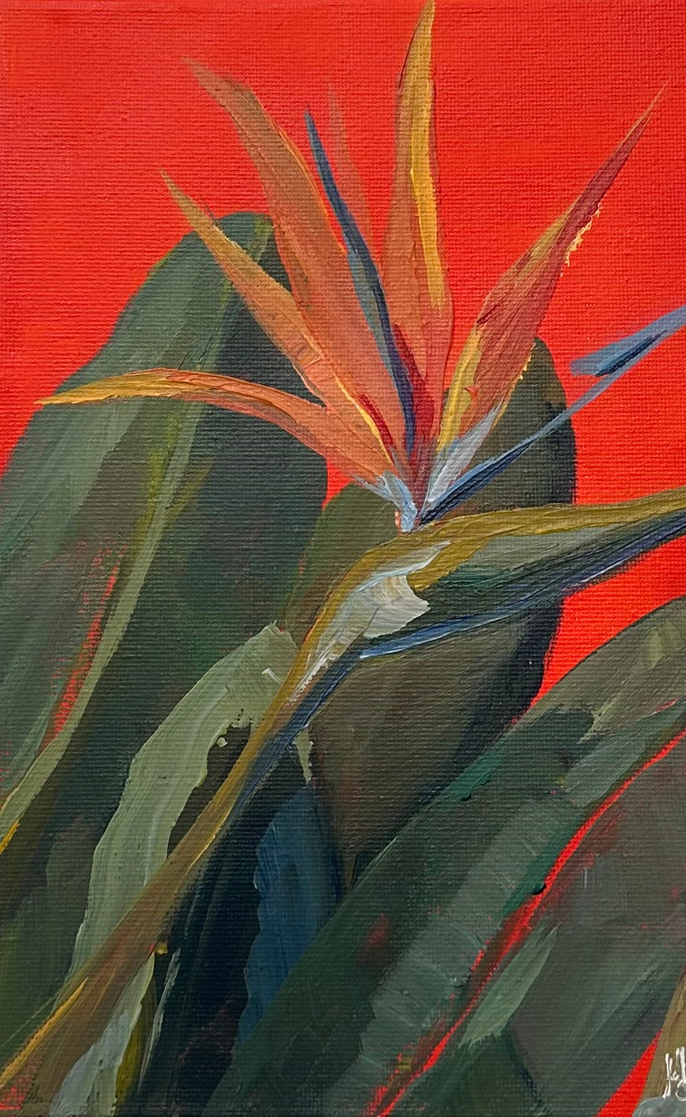 Strelitzia – cuadro original en Canarias – María Betancor (detalle)