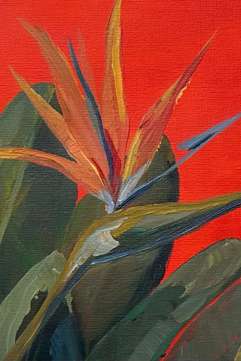 Strelitzia – cuadro original en Canarias – María Betancor