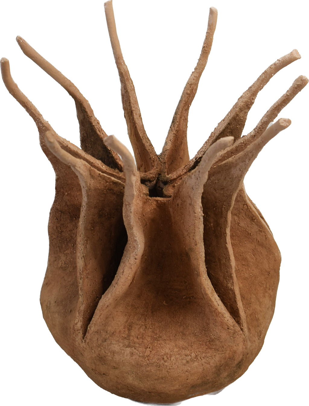 Nigella damascena – escultura original en Canarias – María Betancor (detalle)