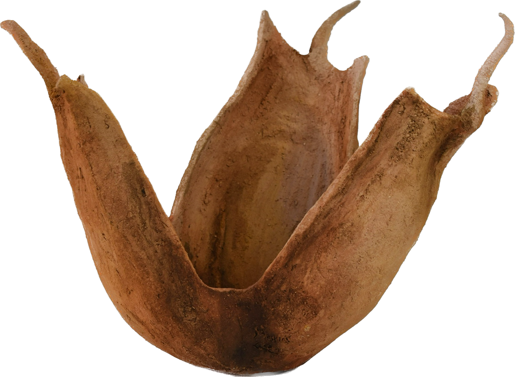 Colchicum psammophilum – escultura original en Canarias – María Betancor (detalle)