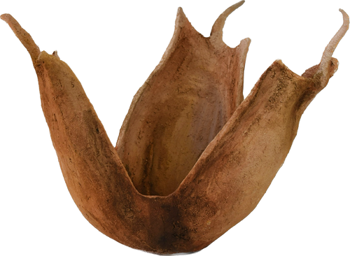 Colchicum psammophilum – escultura original en Canarias – María Betancor
