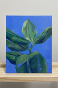 Ficus – cuadro original en Canarias – María Betancor