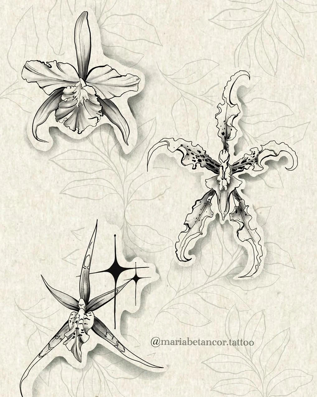 Tres dibujos de orquídeas de María Betancor